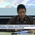 Video: Purbaya Panggil 200 Pengusaha Sawit, Warning Kepatuhan Pajak