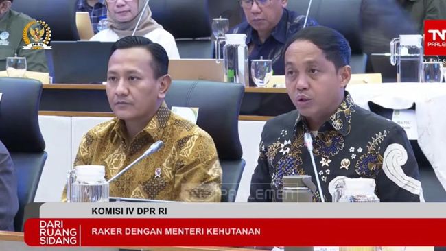 Menhut Ungkap Ribuan Hektare Hutan di Lokasi Bencana Banjir "Hilang"