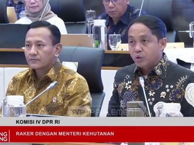 Menhut Raja Juli Buka Data Deforestasi Hutan RI, Faktanya: Makin Parah