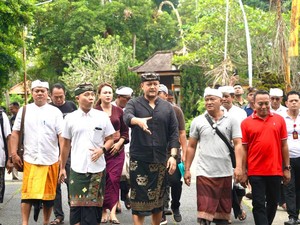 Gus Bota Cek Sangeh Monkey Forest Seusai Pohon Tumbang Tewaskan Tour Guide