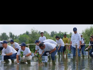 Jaga Ekosistem Pesisir, WEGE Tanam 3.500 Bibit Mangrove di 2 Lokasi