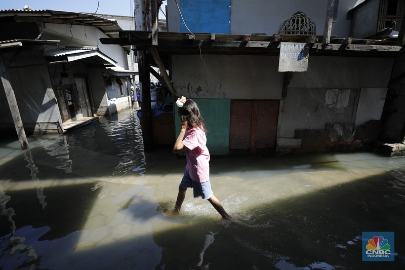 Banjir rob menggenangi wilayah Jalan Dermaga Baru, Kali Adem, Blok Empang, Muara Angke, Jakarta, Jumat (5/12/2025). Meski terendam banjir, warga memilih bertahan di rumahnya masing-masing. (CNBC Indonesia/Tri Susilo)