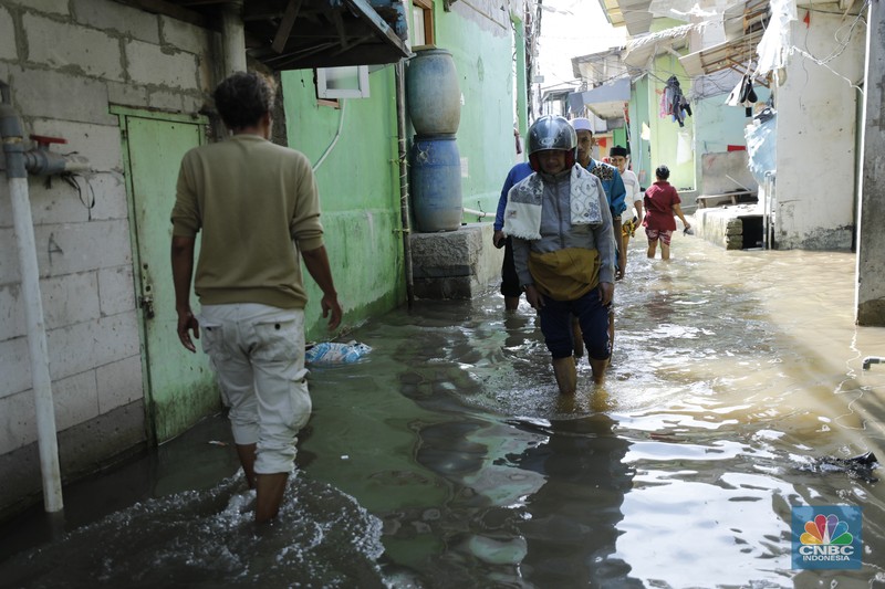 Banjir rob menggenangi wilayah Jalan Dermaga Baru, Kali Adem, Blok Empang, Muara Angke, Jakarta, Jumat (5/12/2025). Meski terendam banjir, warga memilih bertahan di rumahnya masing-masing. (CNBC Indonesia/Tri Susilo)
