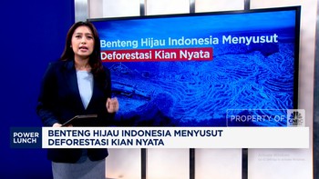 Video: Benteng Hijau Indonesia Menyusut, Deforestasi Kian Nyata