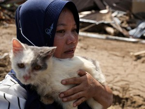 Video: 8 Penyakit yang Mengancam Hewan Terdampak Bencana