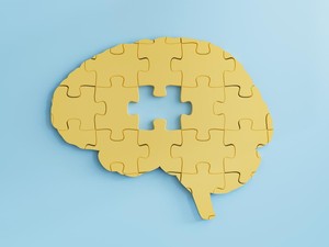 Rahasia Kecerdasan Manusia Bisa Jadi Ada di Usus