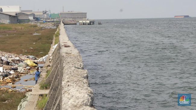 Ngeri! Penampakan Terbaru Air Laut Lebih Tinggi dari Tanah di Jakarta