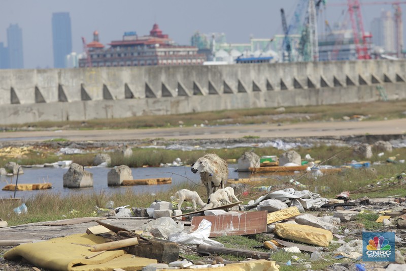 Petugas Dinas Sumber Daya Air (SDA) menambal tanggul Muara Buaru yang bocor di kawasan Muara Baru, Jakarta, Jumat, (5/12/2025). (CNBC Indonesia/Muhammad Sabki)