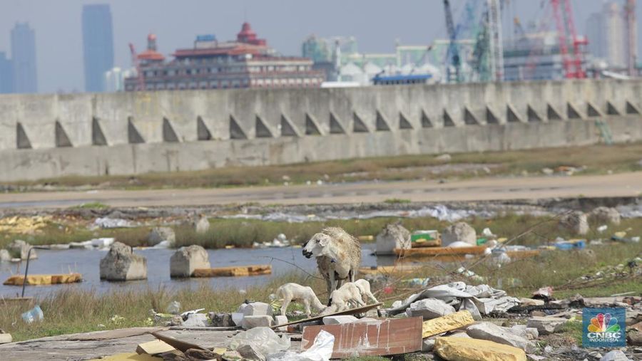 Petugas Dinas Sumber Daya Air (SDA) menambal tanggul Muara Buaru yang bocor di kawasan Muara Baru, Jakarta, Jumat, (5/12/2025). (CNBC Indonesia/Muhammad Sabki)