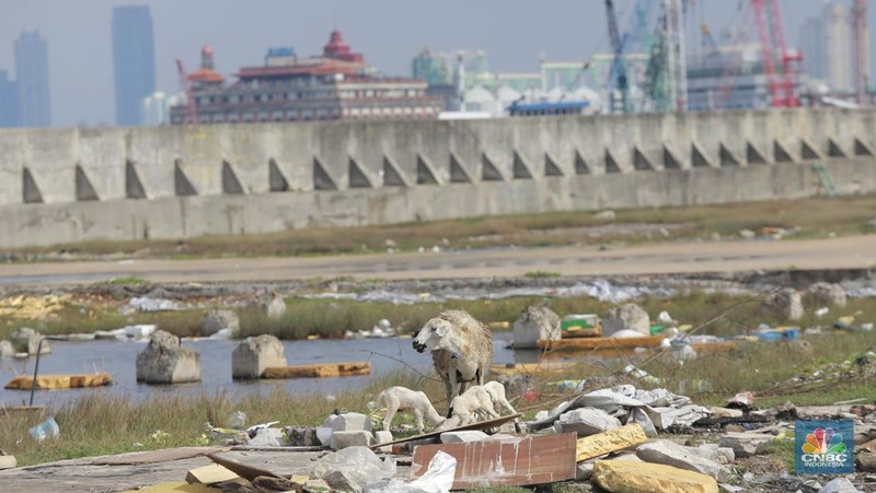 Petugas Dinas Sumber Daya Air (SDA) menambal tanggul Muara Buaru yang bocor di kawasan Muara Baru, Jakarta, Jumat, (5/12/2025). (CNBC Indonesia/Muhammad Sabki)