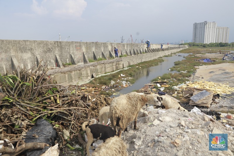 Petugas Dinas Sumber Daya Air (SDA) menambal tanggul Muara Buaru yang bocor di kawasan Muara Baru, Jakarta, Jumat, (5/12/2025). (CNBC Indonesia/Muhammad Sabki)