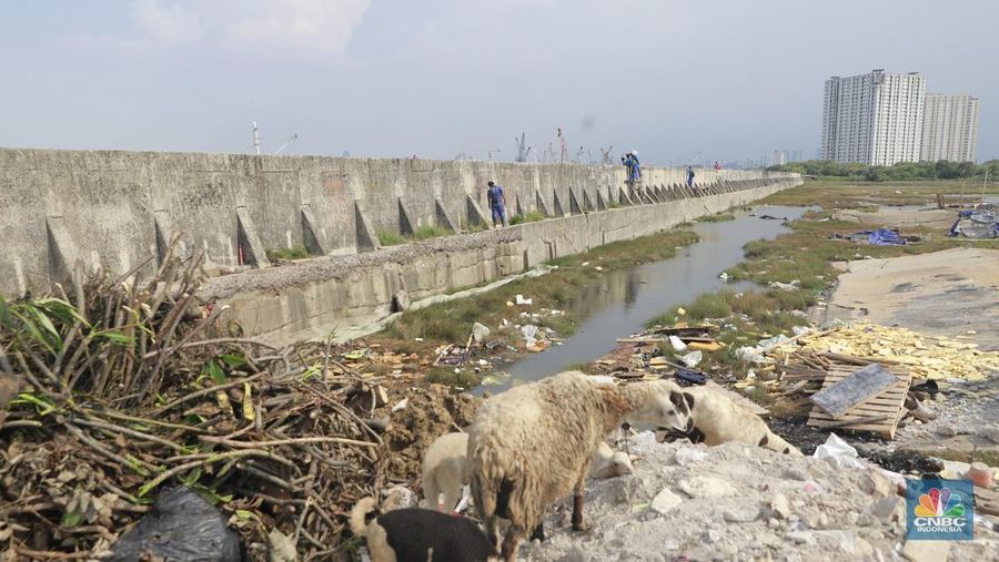 Petugas Dinas Sumber Daya Air (SDA) menambal tanggul Muara Buaru yang bocor di kawasan Muara Baru, Jakarta, Jumat, (5/12/2025). (CNBC Indonesia/Muhammad Sabki)