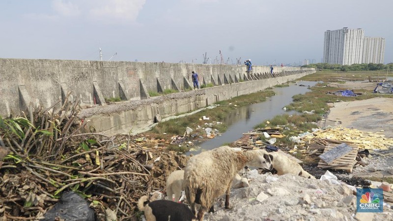 Petugas Dinas Sumber Daya Air (SDA) menambal tanggul Muara Buaru yang bocor di kawasan Muara Baru, Jakarta, Jumat, (5/12/2025). (CNBC Indonesia/Muhammad Sabki)