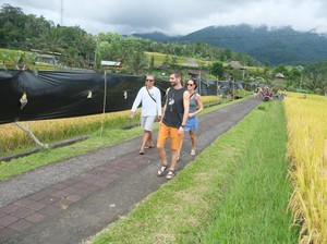 Subak di Bali Makin Terancam Punah, Akademisi Merasa Khawatir