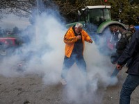 Subsidi Tertunda, Demo Petani Ricuh-Polisi Tembakkan Gas Air Mata