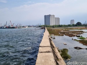 Ini Penyebab Tanggul Laut Rembes hingga Bikin Becek Jalan Muara Baru