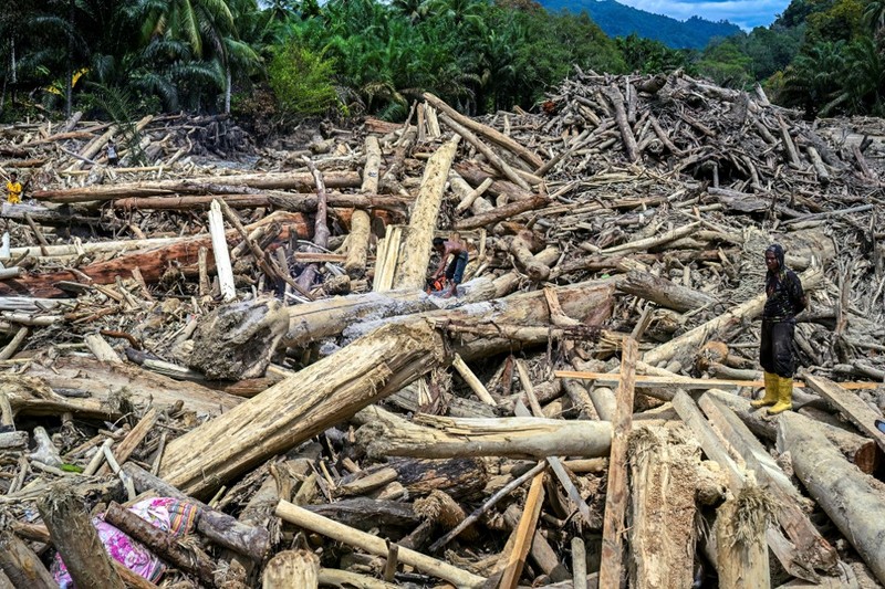 Warga desa menebang kayu-kayu yang hanyut oleh banjir bandang, berniat menggunakannya sebagai material untuk membangun kembali rumah mereka yang rusak di Garoga, Provinsi Sumatera Utara, Kamis (4/12/2025). (YT HARIONO / AFP)