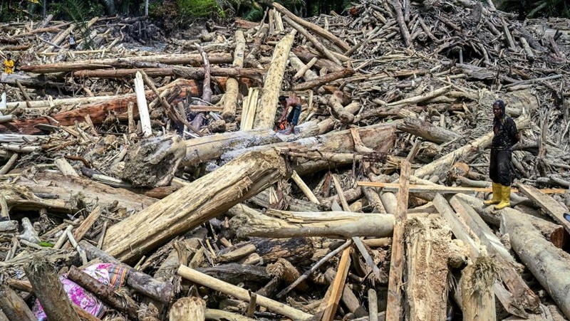 Warga desa menebang kayu-kayu yang hanyut oleh banjir bandang, berniat menggunakannya sebagai material untuk membangun kembali rumah mereka yang rusak di Garoga, Provinsi Sumatera Utara, Kamis (4/12/2025). (YT HARIONO / AFP)