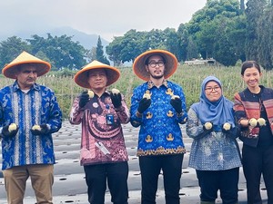 KBB Bidik Daya Saing Global Lewat Pengembangan Kentang Industri