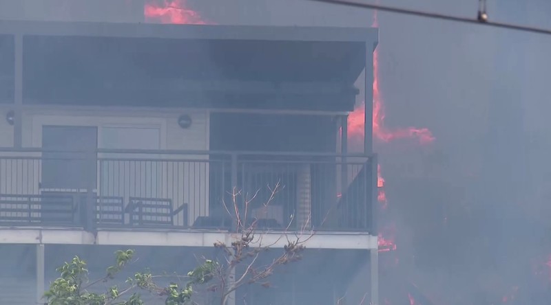 Kebakaran hutan melanda ribuan hektar lahan semak belukar di New South Wales, Australia, Sabtu (6/12/2025). (Tangkapan Layar Video Reuters/)