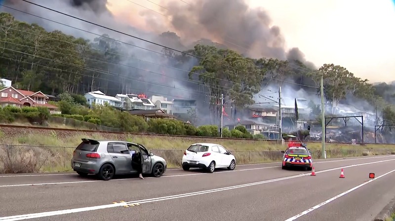 Kebakaran hutan melanda ribuan hektar lahan semak belukar di New South Wales, Australia, Sabtu (6/12/2025). (Tangkapan Layar Video Reuters/)