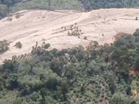 Menteri LH Hentikan Operasi 3 Perusahaan di Batang Toru, Ada BUMN