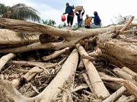 Ini 4 Perusahaan yang Disegel Terkait Banjir dan Longsor Sumatra