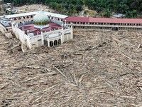 Penampakan Baru Muncul! Aceh Dikepung Ribuan Potongan Kayu Usai Banjir