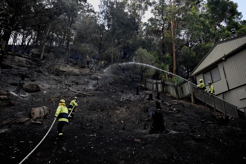 Kebakaran hutan melanda ribuan hektar lahan semak belukar di New South Wales, Australia, Sabtu (6/12/2025). (Tangkapan Layar Video Reuters/)