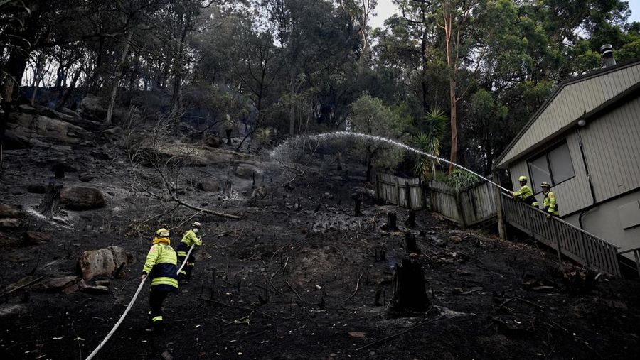Petugas pemadam kebakaran bekerja di lokasi kebakaran hutan yang menghancurkan rumah-rumah di sepanjang Glenrock Parade, di Koolewong di Pantai Tengah New South Wales, Australia, 6 Desember 2025. (AAP/Dan Himbrechts via REUTERS)