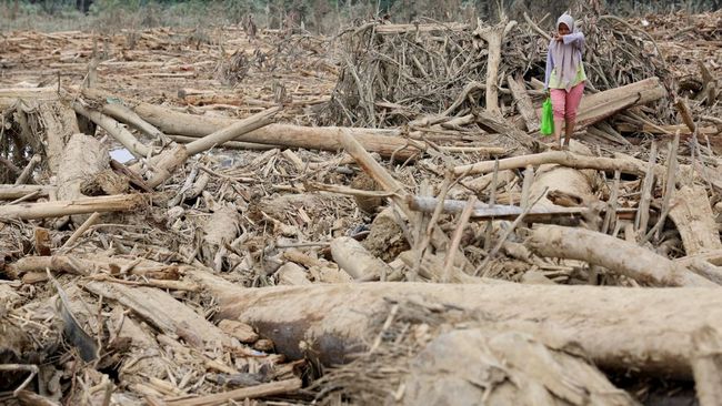 Bencana dan Akrobat Tukang Olah