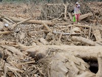 Data Terbaru Banjir Longsor Sumatra: 969 Meninggal, 5000 Orang Terluka