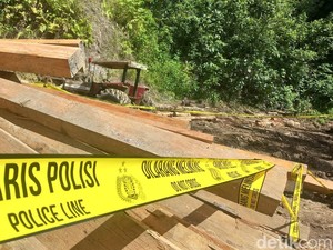 Polda Lampung Segel Aktivitas Pembalakan Liar di Hutan Pesisir Barat
