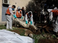 Potret Puluhan Jenazah Gaza Digali & Dievakuasi Massal ke Makam Umum