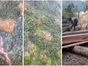 Polisi Libatkan Kemenhut untuk Selidiki Pembalakan Liar di Hutan Lampung