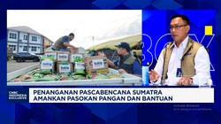 Video: Bulog Sebut Banjir Sumatra Rusak 703 Ribu Ha Lahan Pertanian