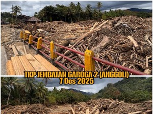 Kasus Gelondongan Kayu Terbawa Banjir di Garoga-Anggoli Naik Penyidikan!