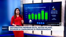 Deforestasi Brutal, Hutan Hilang, Ekonomi & Lingkungan di Persimpangan