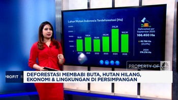 Deforestasi Brutal, Hutan Hilang, Ekonomi & Lingkungan di Persimpangan