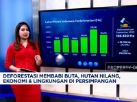 Deforestasi Brutal, Hutan Hilang, Ekonomi & Lingkungan di Persimpangan