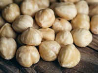 Top! Indonesia Eximbank Dorong Potensi Ekspor Kemiri Asal NTB