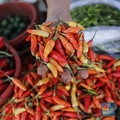 Redam Harga Cabai Rawit Merah, Amran Resmi Keluarkan Perintah Ini