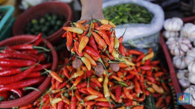 Redam Harga Cabai Rawit Merah, Amran Resmi Keluarkan Perintah Ini
