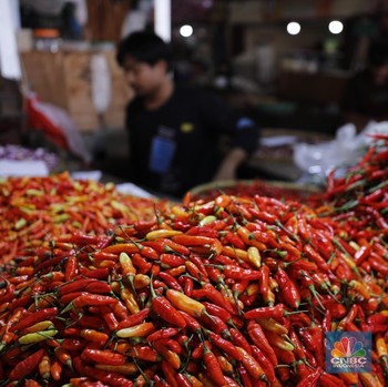 Harga Cabai Rawit Merah Menggila ke Rp120.000, Biang Keroknya Hujan?