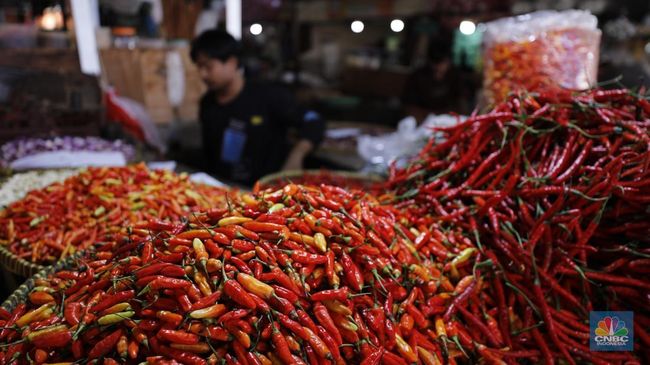 Harga Cabai Rawit Merah Menggila ke Rp120.000, Biang Keroknya Hujan?