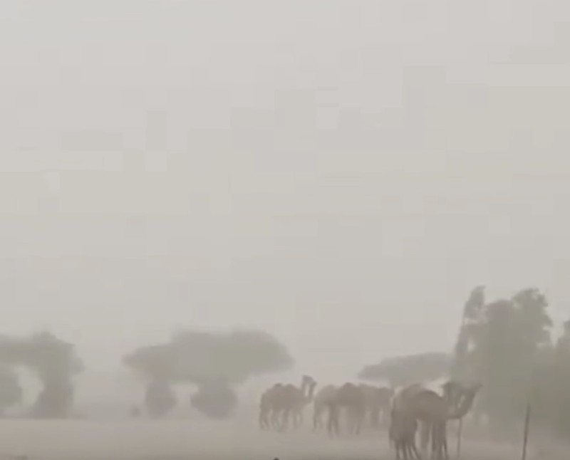 Potret badai hantam arab saudi. (saudiweathergr/X)