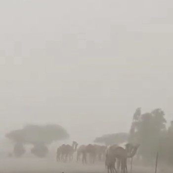 WNI Umrah Hati-Hati, Potret Badai Petir-Hujan Lebat Hantam Arab Saudi