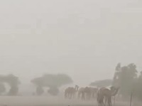 WNI Umrah Hati-Hati, Potret Badai Petir-Hujan Lebat Hantam Arab Saudi