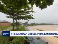 Video: 4 Perusahaan Disegel akibat Banjir Bandang di Sumatra