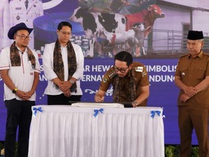KBB Resmikan RPH Modern di Padalarang, Dorong Hilirisasi Sapi Potong